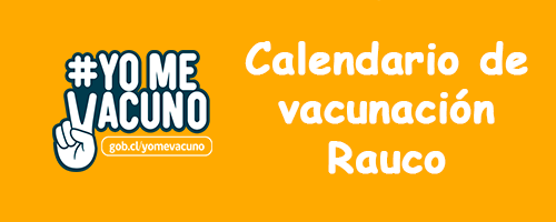 Calendario De Vacunación