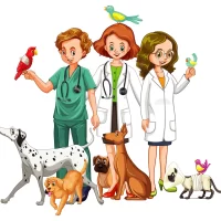 veterinario